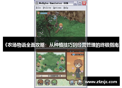 《农场物语全面攻略：从种植技巧到经营管理的终极指南》