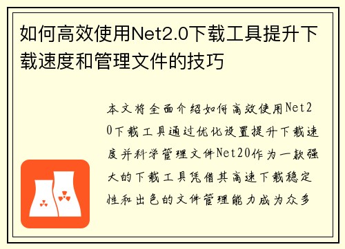 如何高效使用Net2.0下载工具提升下载速度和管理文件的技巧
